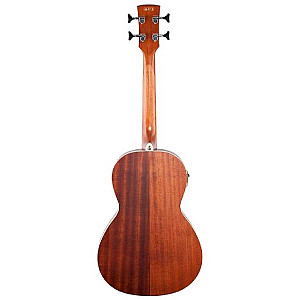 Ibanez PNB14E Acoustic Electric Bass Open Pore Natural